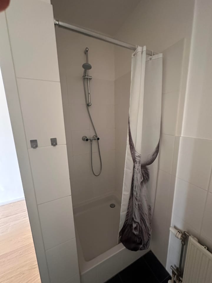 Foto 8 van Hooftstraat 151-D