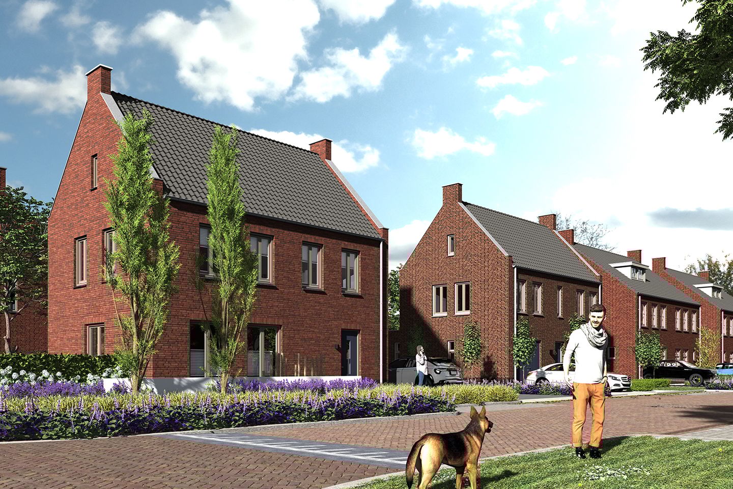 Photo 7 of Krekelscoul