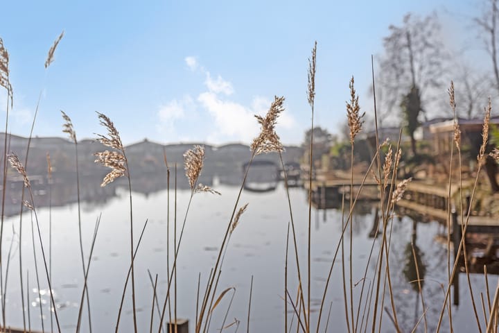 Foto 65 van Maaslaan 1