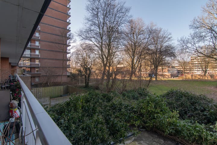 Foto 6 van Binnenwater 16