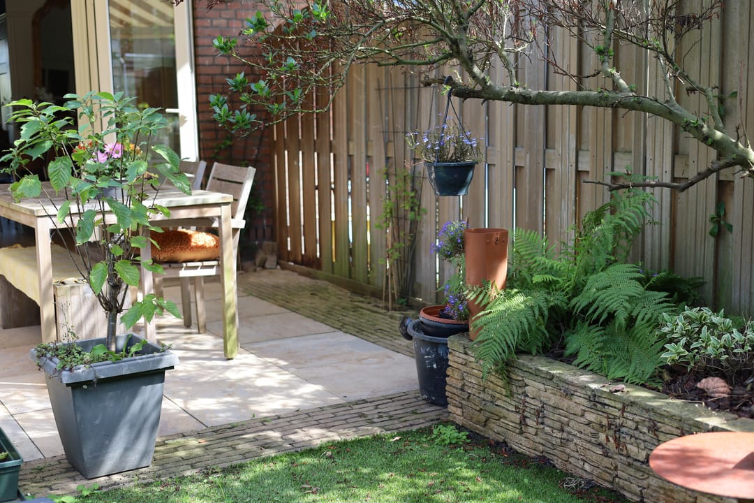 Foto 52 van Jaagpad 43