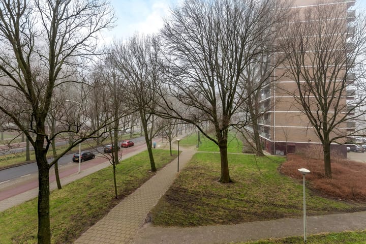 Foto 17 van Heiloostraat 31