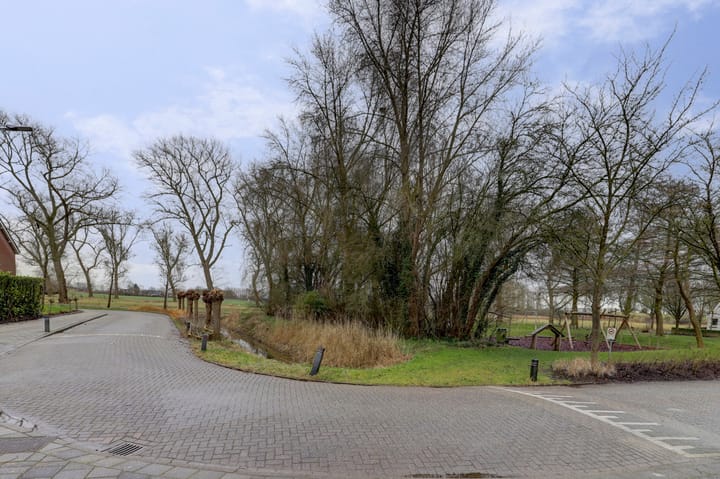 Foto 5 van Liesbethstraat 49