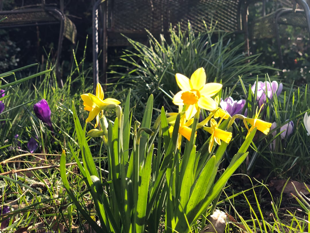 Foto 13 van Schipperslaan 3