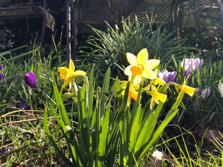 Foto 13 van Schipperslaan 3