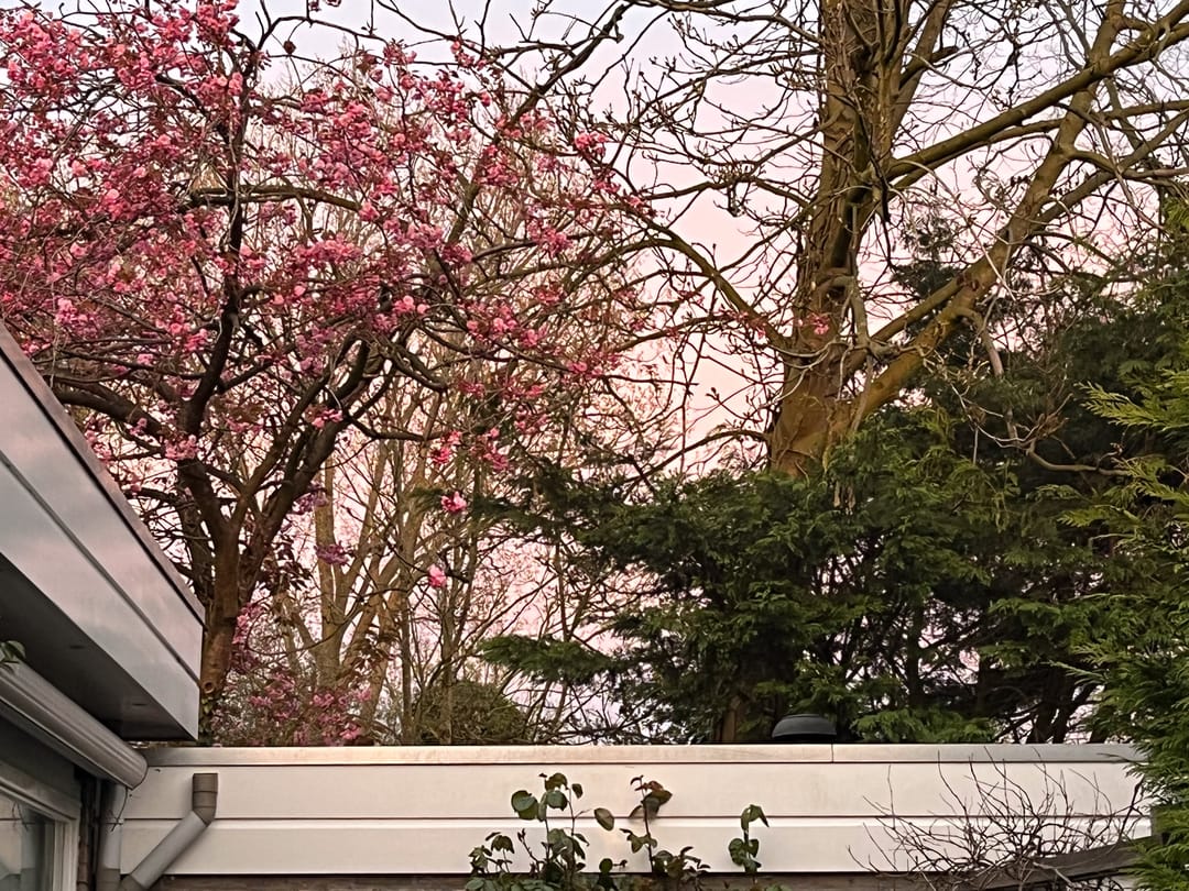 Foto 43 van Schipperslaan 3