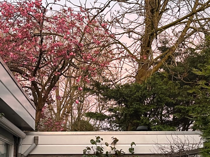 Foto 43 van Schipperslaan 3