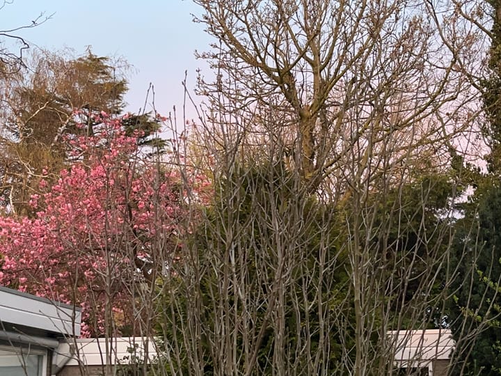 Foto 44 van Schipperslaan 3