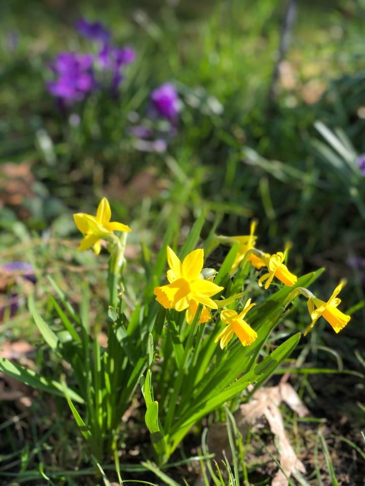 Foto 70 van Schipperslaan 3