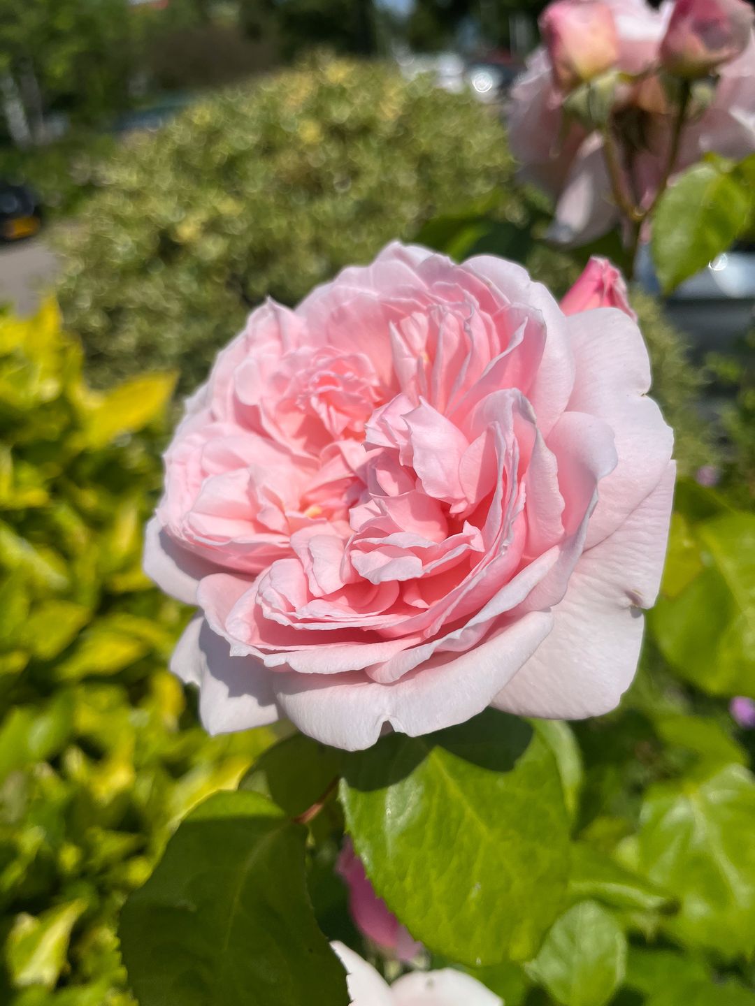 Foto 71 van Schipperslaan 3