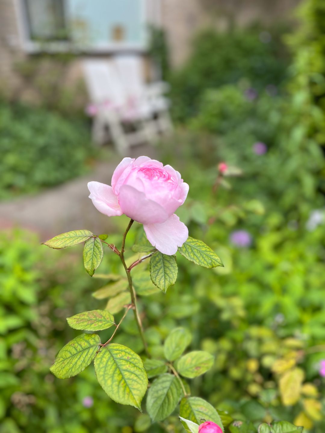 Foto 73 van Schipperslaan 3