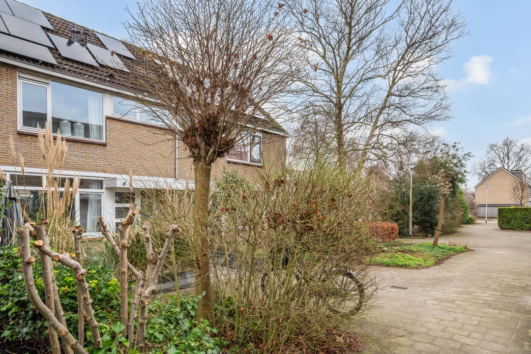 Foto 8 van Grevelingen 28