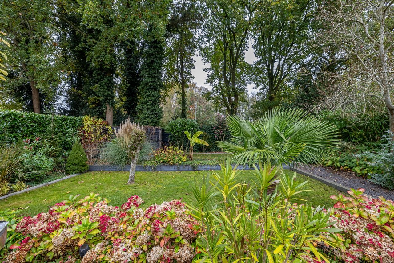 Photo 3 of Telstar 49