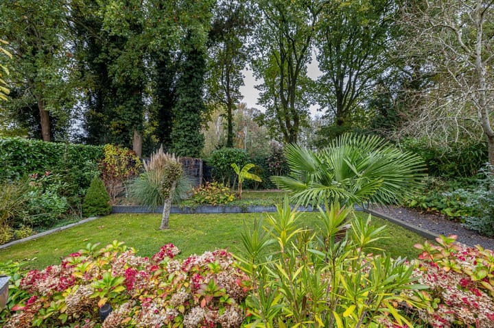 Foto 3 van Telstar 49