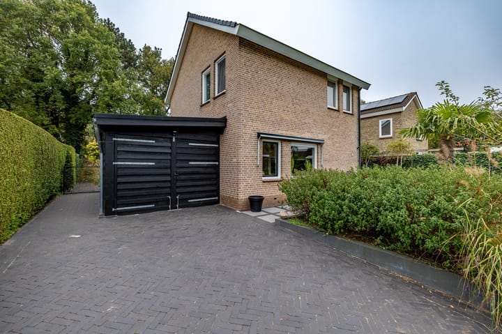 Foto 7 van Telstar 49