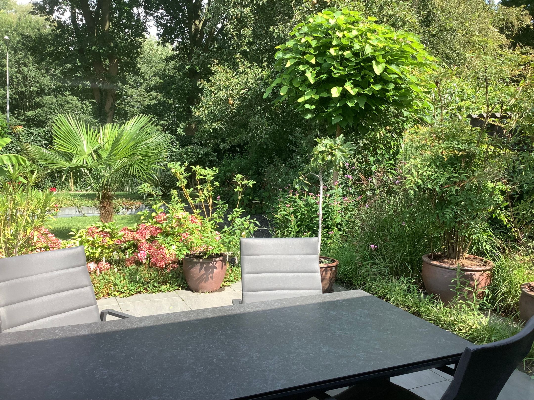 Photo 39 of Telstar 49