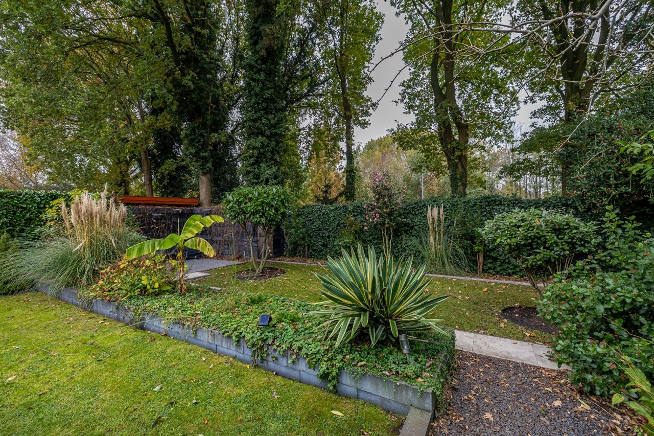 Photo 45 of Telstar 49