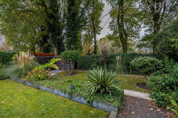 Foto 45 van Telstar 49