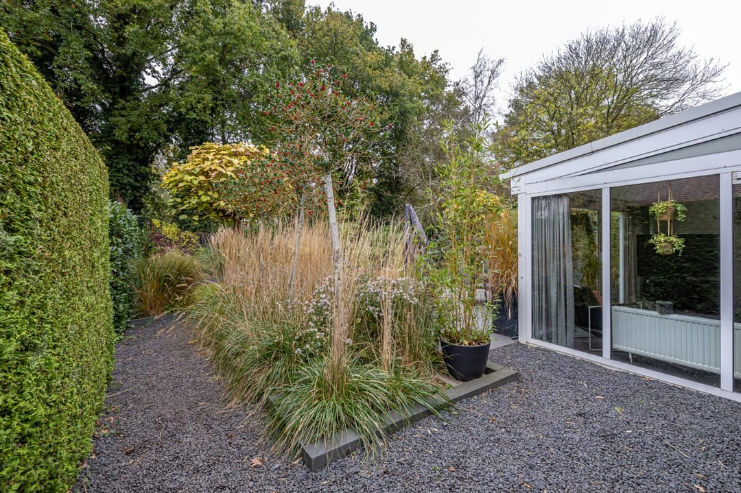 Photo 47 of Telstar 49