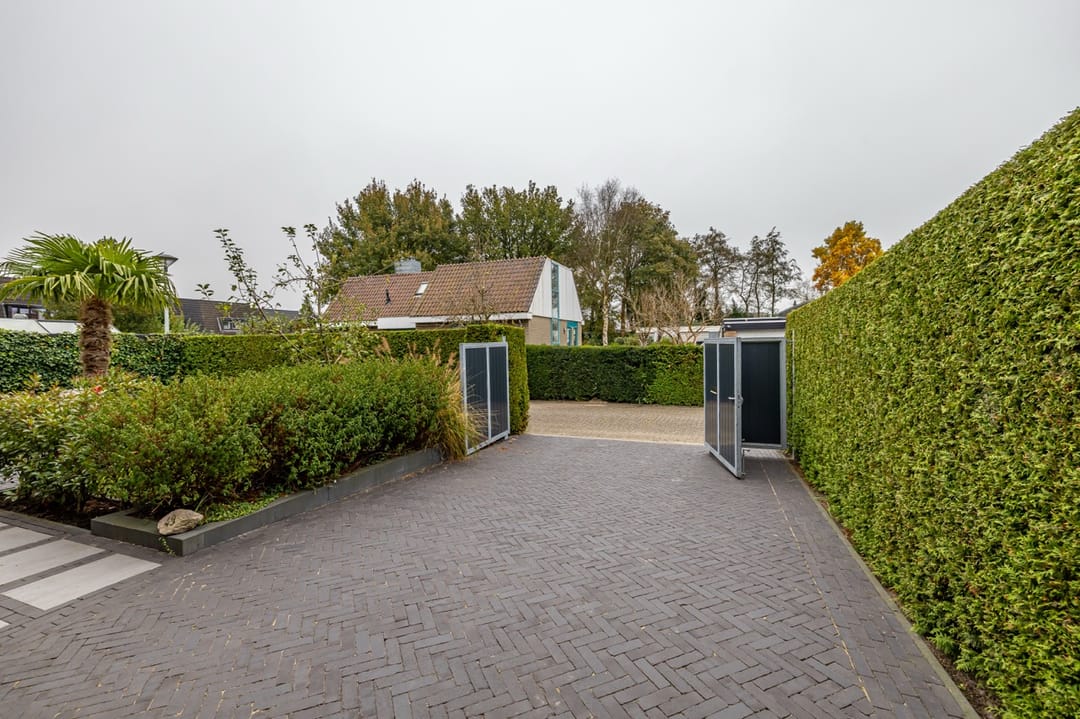 Photo 52 of Telstar 49