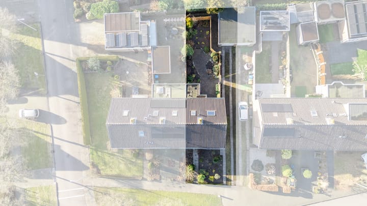 Foto 2 van Klimtuin 179