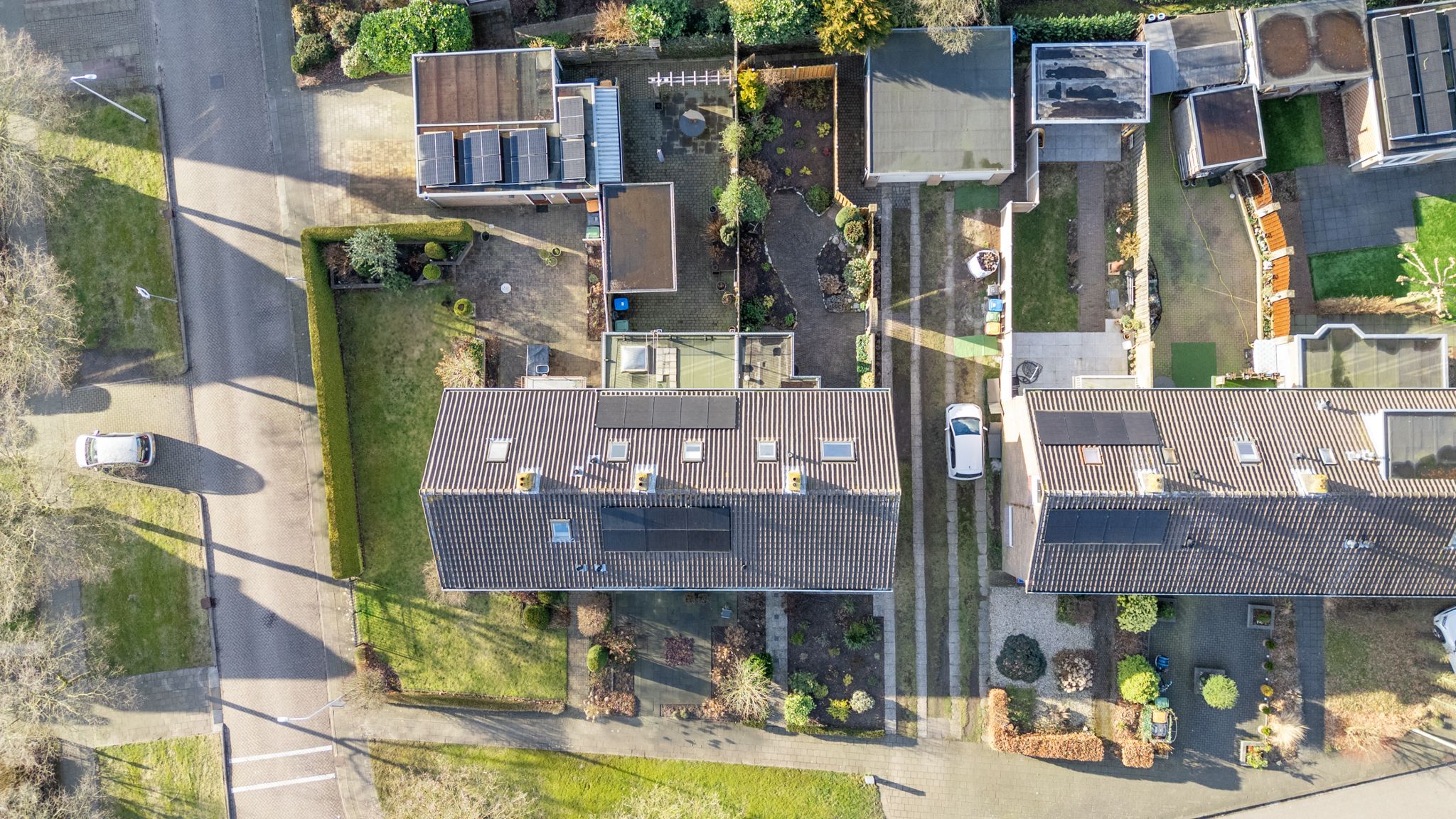 Foto 3 van Klimtuin 179