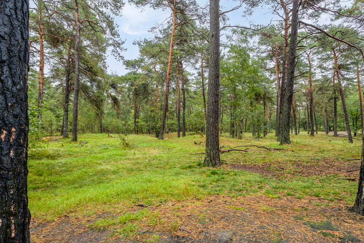 Foto 29 van Parallelweg 26-69