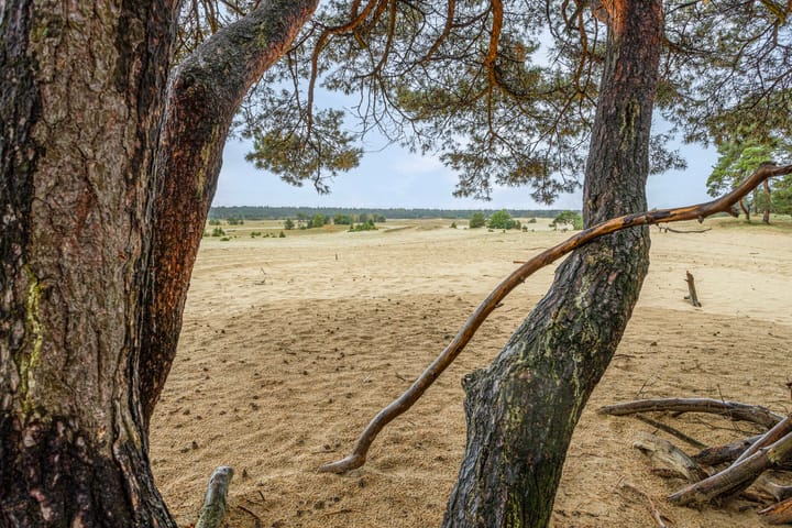 Foto 30 van Parallelweg 26-69