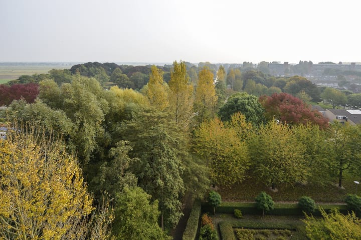 Foto 27 van Hobokenstraat 571