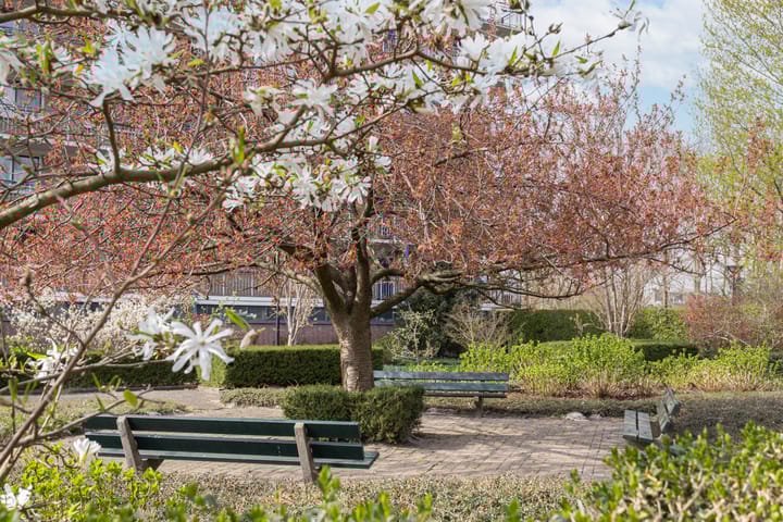 Foto 31 van Hobokenstraat 571