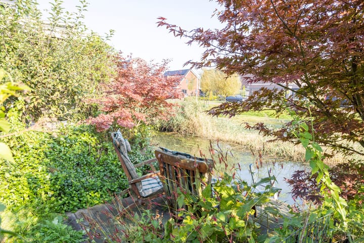 Foto 49 van Wilsonerf 5