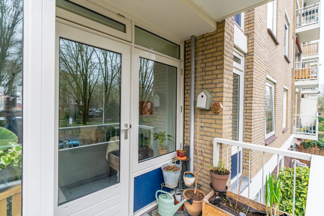 Foto 17 van Ravellaan 41