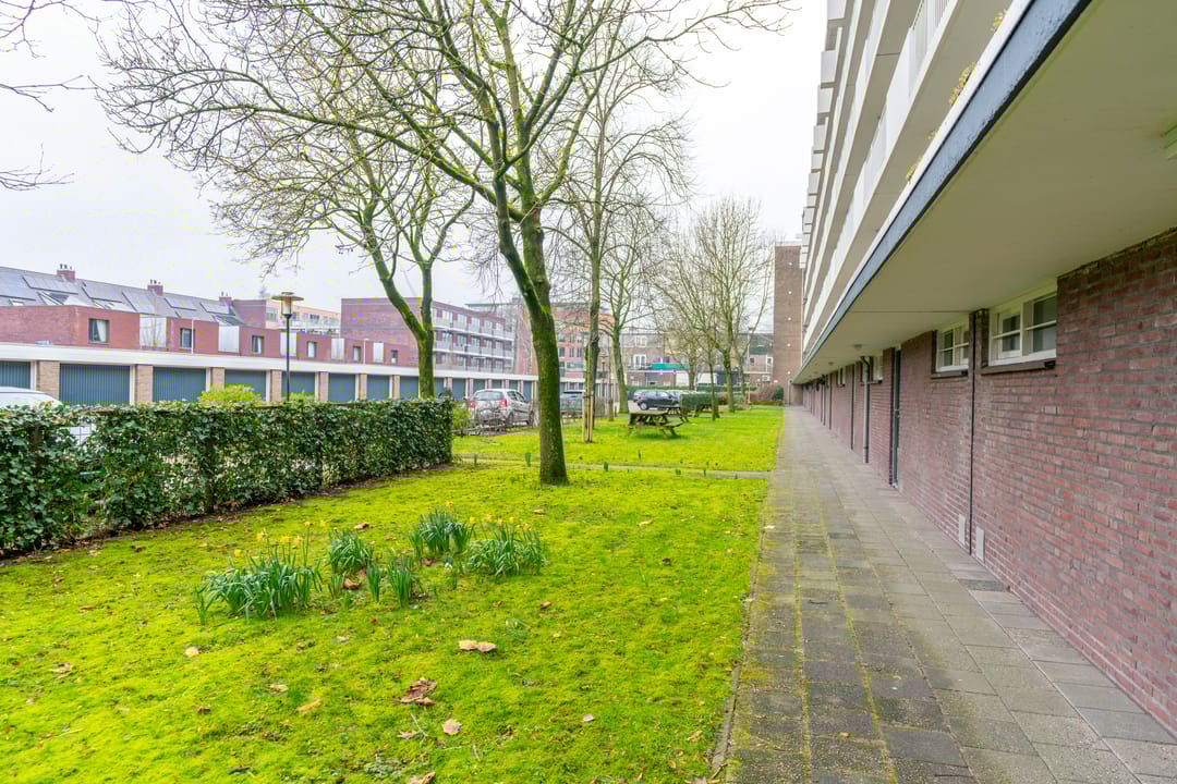 Foto 32 van Ravellaan 41