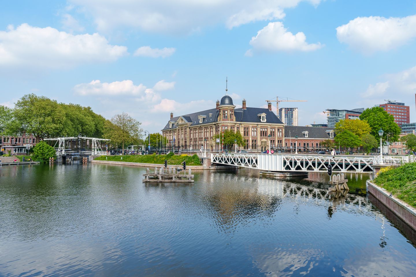 Foto 34 van Ravellaan 41