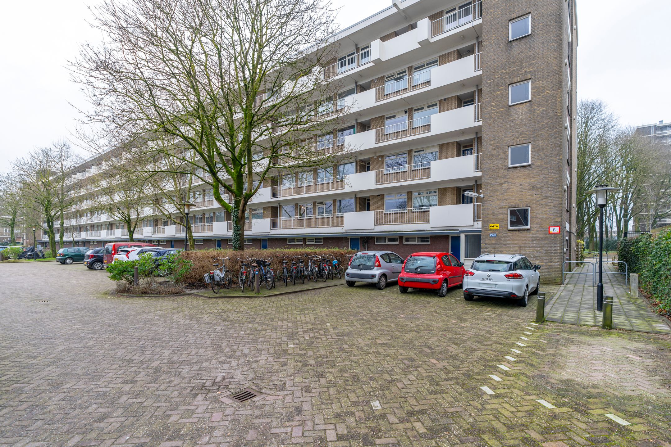 Foto 36 van Ravellaan 41