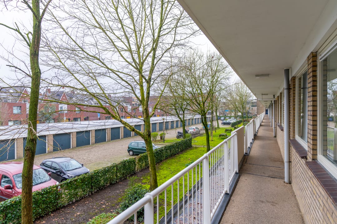 Foto 37 van Ravellaan 41