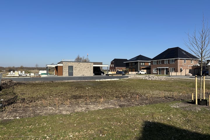 Foto 1 van Fazant