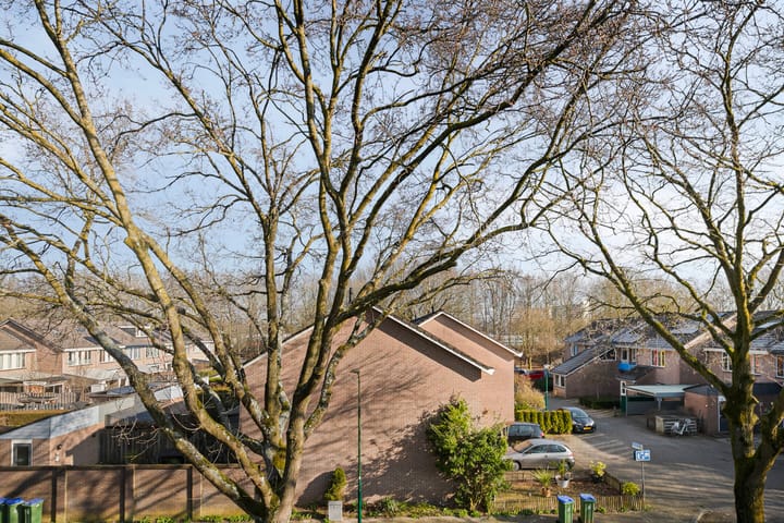 Foto 21 van Driemaster 49