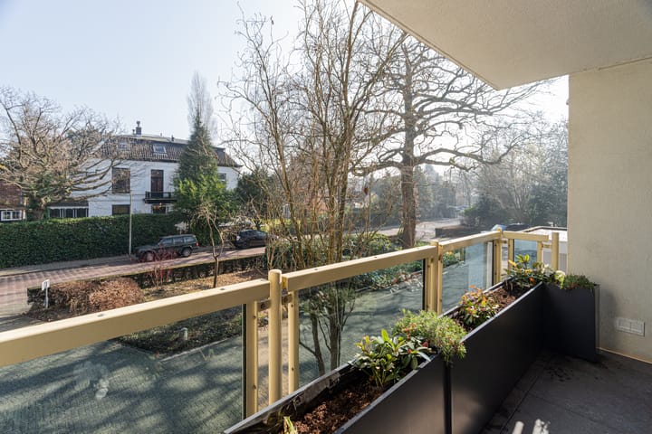 Foto 27 van Lindelaan 43