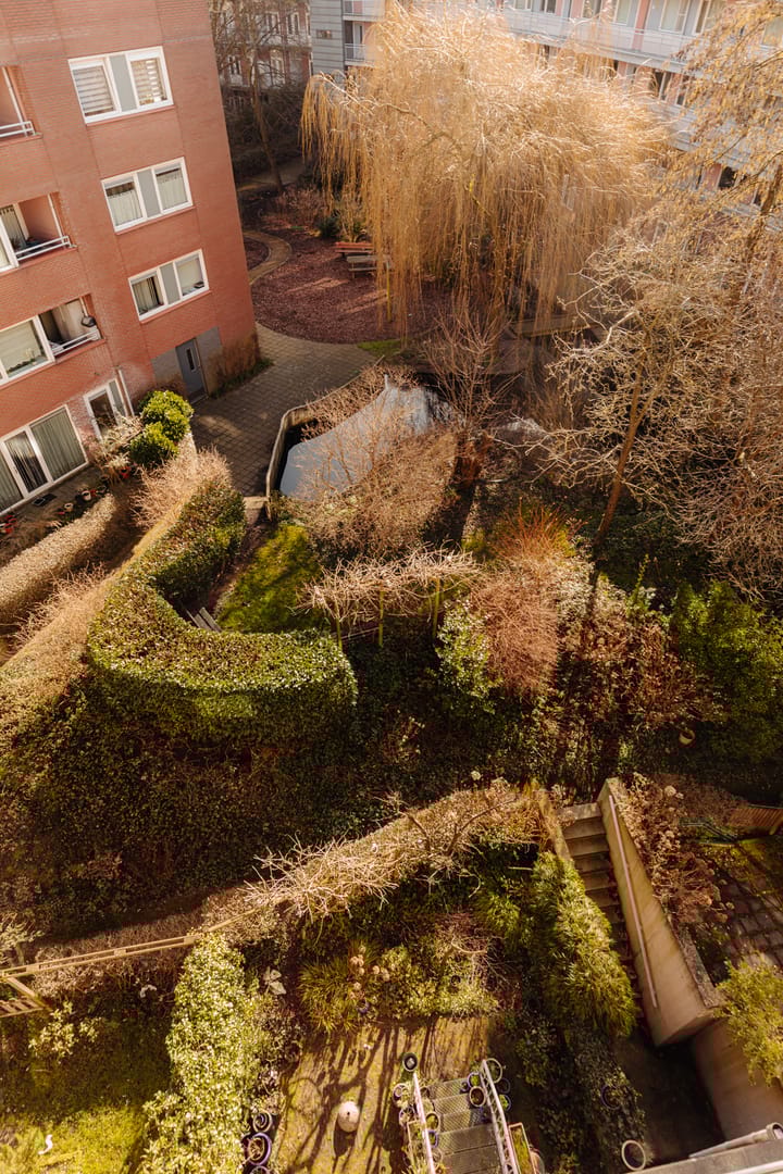 Foto 20 van Sibogastraat 70