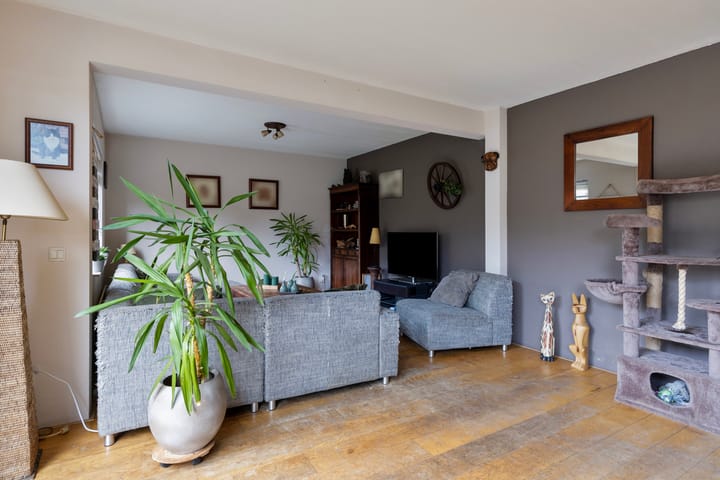 Foto 15 van Mandenmakerij 14