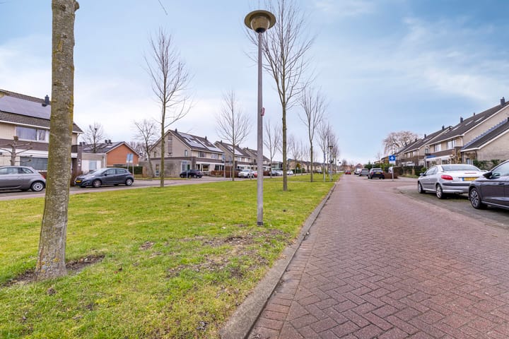 Foto 3 van Mandenmakerij 14