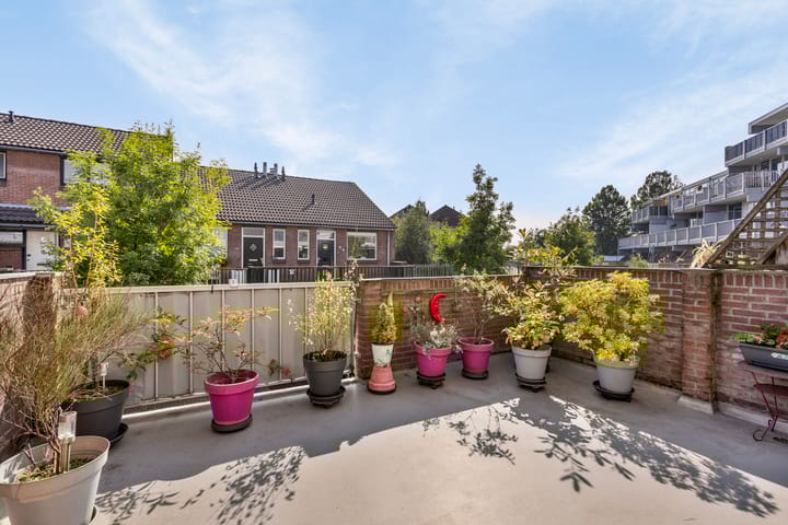 Foto 8 van Hollandsch Diep 231