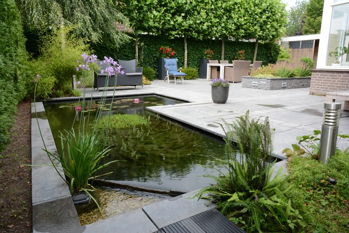 Foto 42 van Beestenhei 4