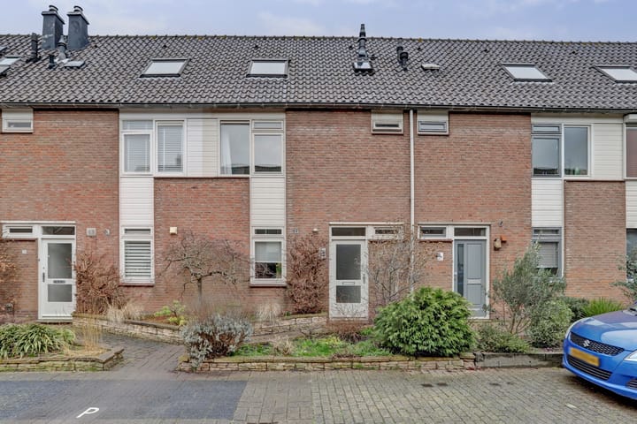 undefined main image
