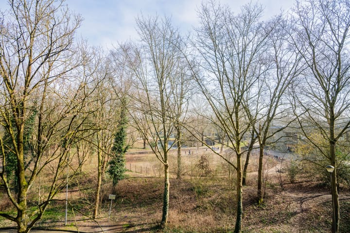 Foto 22 van Sandenburg 323