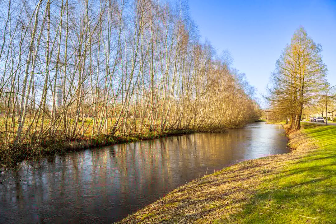 Foto 46 van Mechelenstraat 6