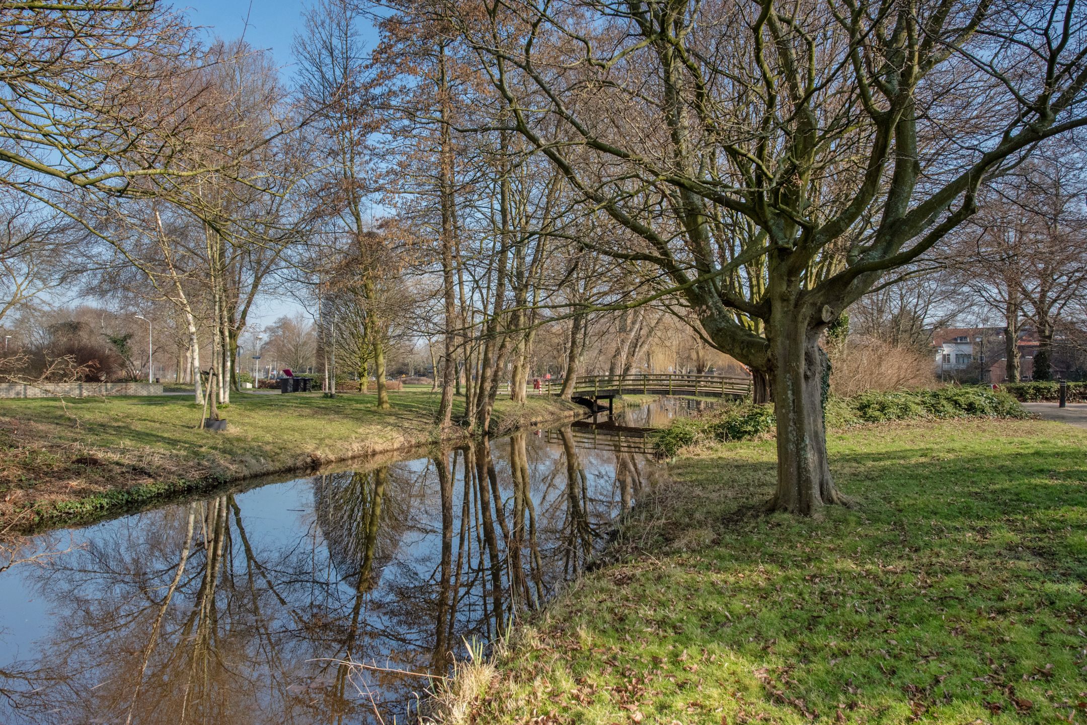 Foto 48 van Noordenburglaan 39