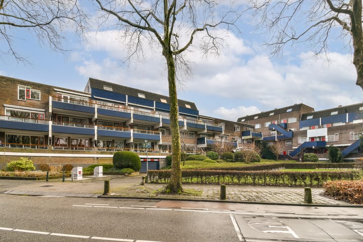 Foto 3 van Doornenburg 103