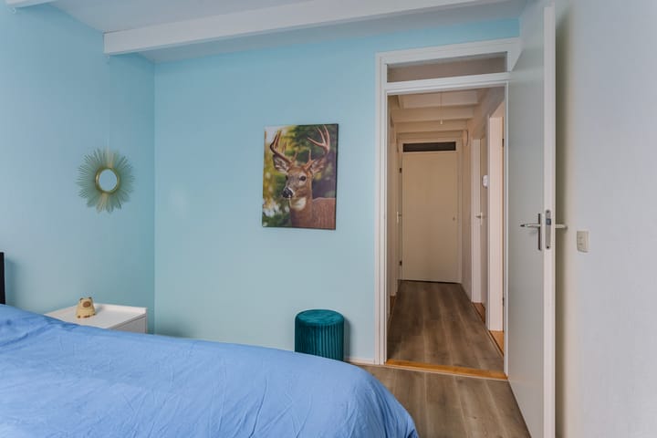 Foto 41 van Smidshorn 13